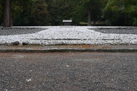DSC_2048̃Rs[.JPG