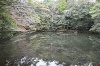DSC_2075̃Rs[.JPG