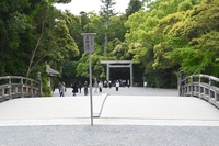 DSC_3572̃Rs[.JPG