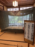 IMG_1253.jpeg