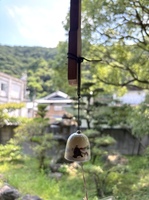 IMG_1255.jpeg
