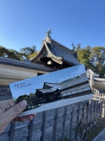 IMG_2447.jpeg