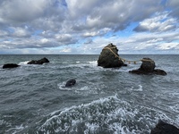 IMG_3302.jpeg