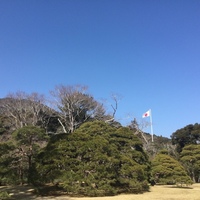 IMG_3687.JPG